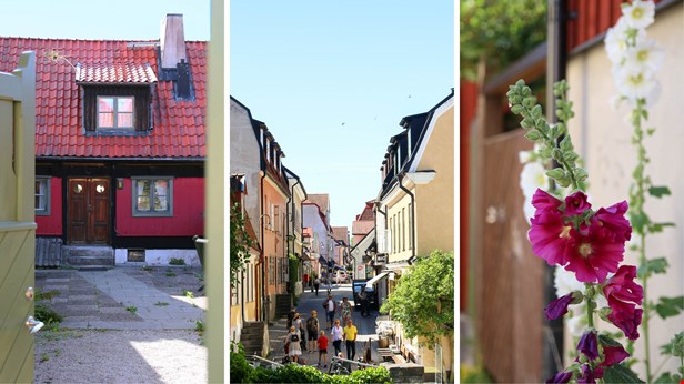 Ett kollage av tre bilder. Till vänster Läromedelsförfattarnas Hus, i mitten en gata med folk, till höger stockrosor mot en vägg. Foto Embla Jernstig.