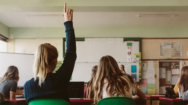 En elev räcker upp handen i ett klassrum. Vi ser eleverna bakifrån.